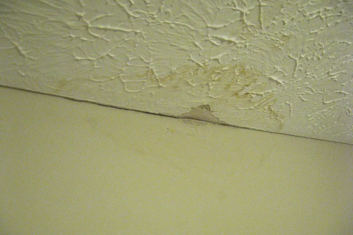 Water staining and damaged ceiling finish; the photograph does not diagnose mold