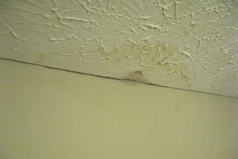 Water staining and damaged ceiling finish; the photograph does not diagnose mold